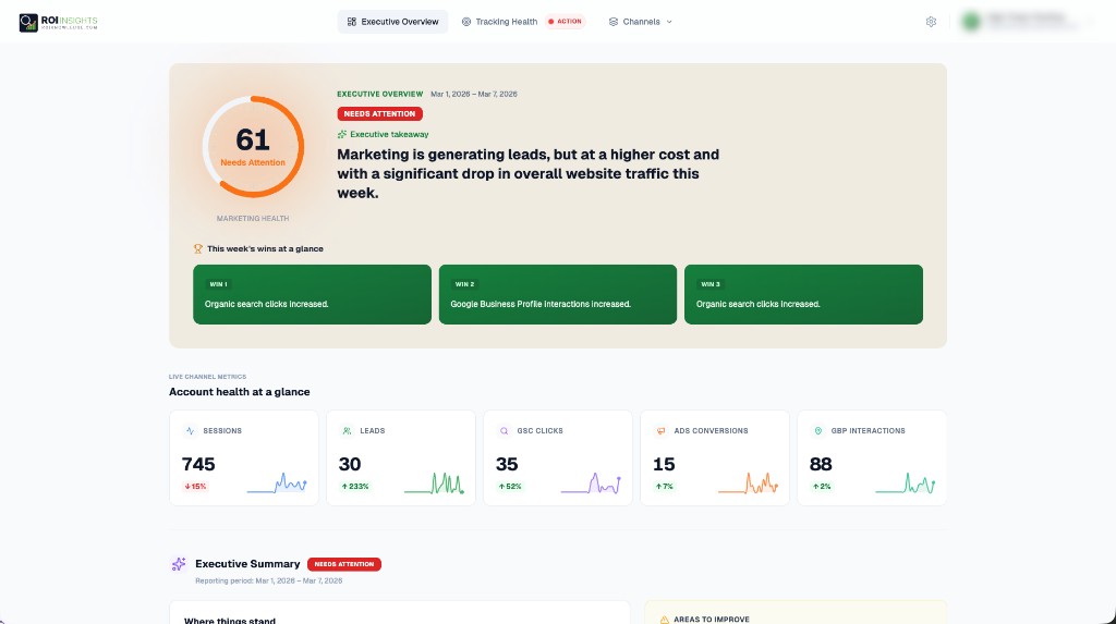 ROI Insights marketing attribution dashboard displaying campaign metrics including clicks, leads, sales, and total ROI.